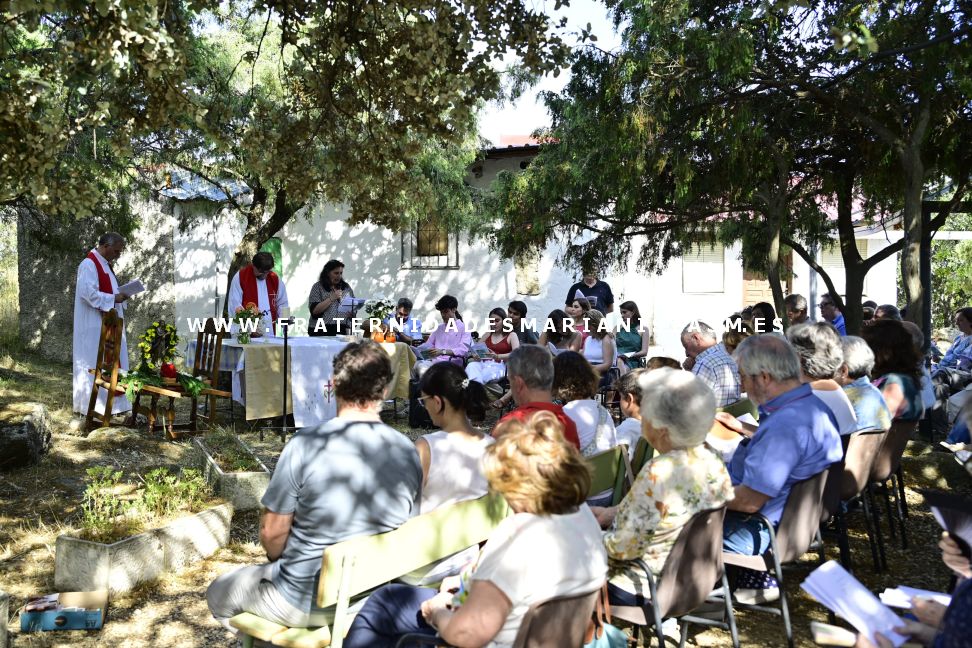 pentecostes madrid junio 2025 29